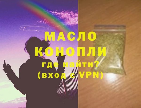 спиды Ельня